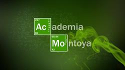 Academia Montoya, Almería