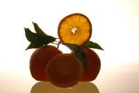 NARANJAS expresnaranjas, Corbera