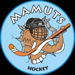 Mamuts Hockey, Madrid