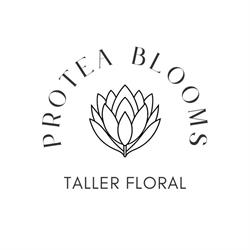 Protea Blooms, Guadalupe