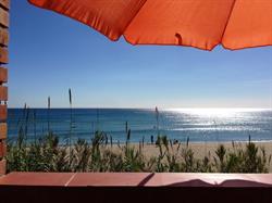 Waldorado (Kvanto S.L.), Roda de Bará