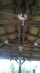 Ubripergola, Ubrique