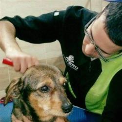 SalaMascotas Peluquería Canina, Salamanca