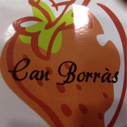 CAN Borras, Blanes