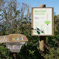Bio Café Finca Aloe, Santa Cruz de la Palma