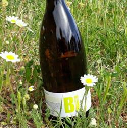 Bodega Vinya Natura, Castellón de la Plana