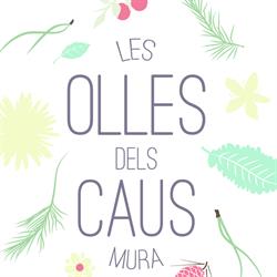 Les Olles dels Caus, Mura