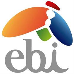 Proyecto EBI, Madrid