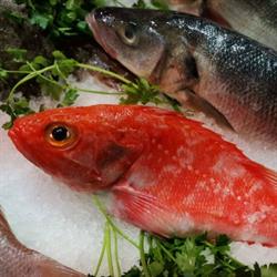 Pescados Y Mariscos Puri Vara, Vitoria-Gasteiz