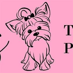 Peluditos peluquería canina, Andoain