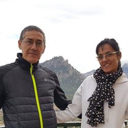 Centre Tas, Tortosa
