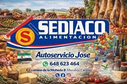 SEDIACO Moraleja Jose