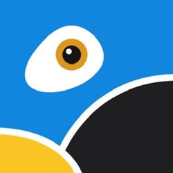 Blue Parrot School Madrid