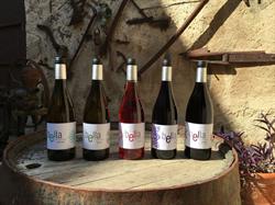 Celler Mas Bella, Masmolets