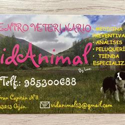 Centro Veterinario Vidanimal By Lua., Gijón