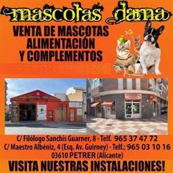 Mascotas Dama Sl., Petrer