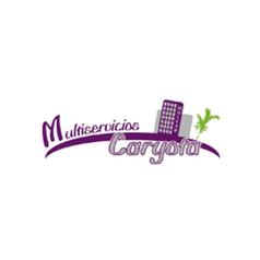 Multiservicios Caryota, Elche