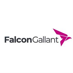 Falcon Gallant SL, Madrid
