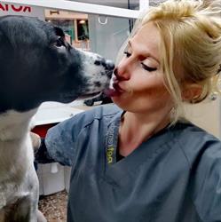 La Huella / Peluqueria y Estetica Canina en Gandia /desde 2005