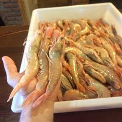 Pescados y Mariscos Peskafish Sl., Ayamonte