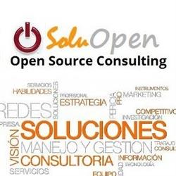 Soluopen Consulting Sociedad Limitada., La Pobla de Vallbona