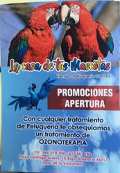 La Casa De Tus Mascotas C.b., Valencia