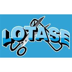 Toldos Lotase, Segovia