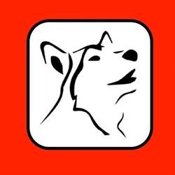 Peluquería Canina Los Amigos de Dexter, Zaragoza