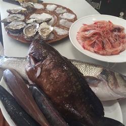 Tapavid, Valencia