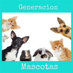 Generación Mascotas, Madrid
