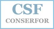 CSF Conserfor, Sevilla