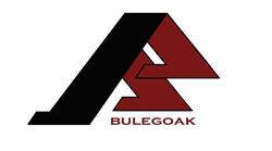 -BULEGOAK- Business Center & CoWorking, Zarautz