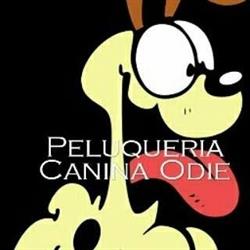 Peluquería canina odie"", Los Corrales de Buelna