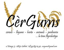 Cèrgums, Sallent