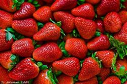 FRUTAS Y VERDURAS BARBERO SL, Almuñecar
