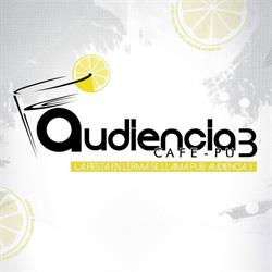 Pub Audiencia 3 Lerma