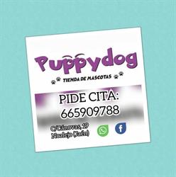 Puppydog, Noalejo