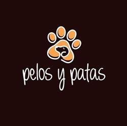 Peluquería, Guardería y Educación Canina Pelos & Patas, Gijón
