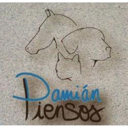 Piensos Damián, Sorihuela