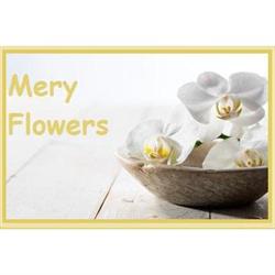 Mery Flowers, Cáceres