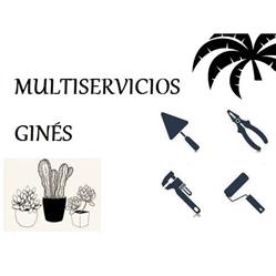 Multiservicios Ginés, San Javier