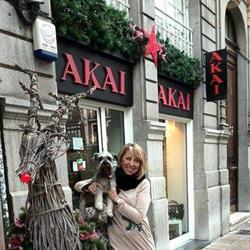 Akai, Oviedo