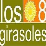 Los 8 Girasoles, Madrid