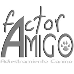 Factor Amigo Adiestramiento Zaragoza