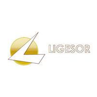 LIGESOR S.L., El Ejido