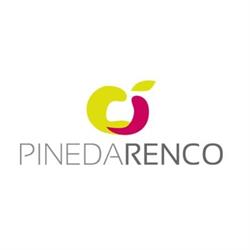 Pineda Renco S.L., Valdivia