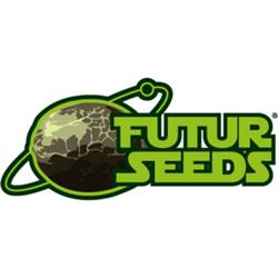 Futurseeds, Canals