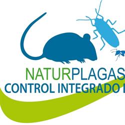Naturplagas, Mérida