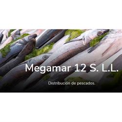Megamar 12 S.L., Pamplona