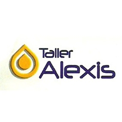 Taller Mecánico Alexis, El Matorral